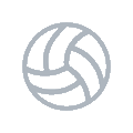 Volleyball icn